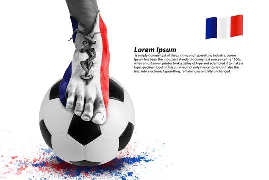 贝博体育官方APP下载 - 体育一站式平台预览