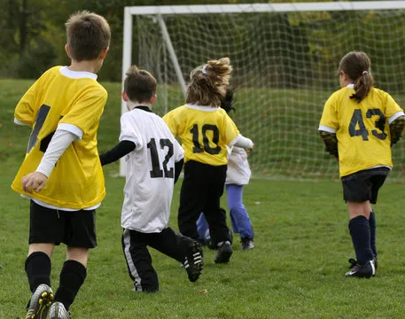 体育应用安装与更新